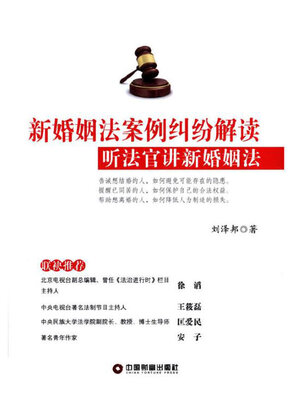 cover image of 新婚姻法案例纠纷解读 (The new Marriage Law Dispute Cases Interpretation)